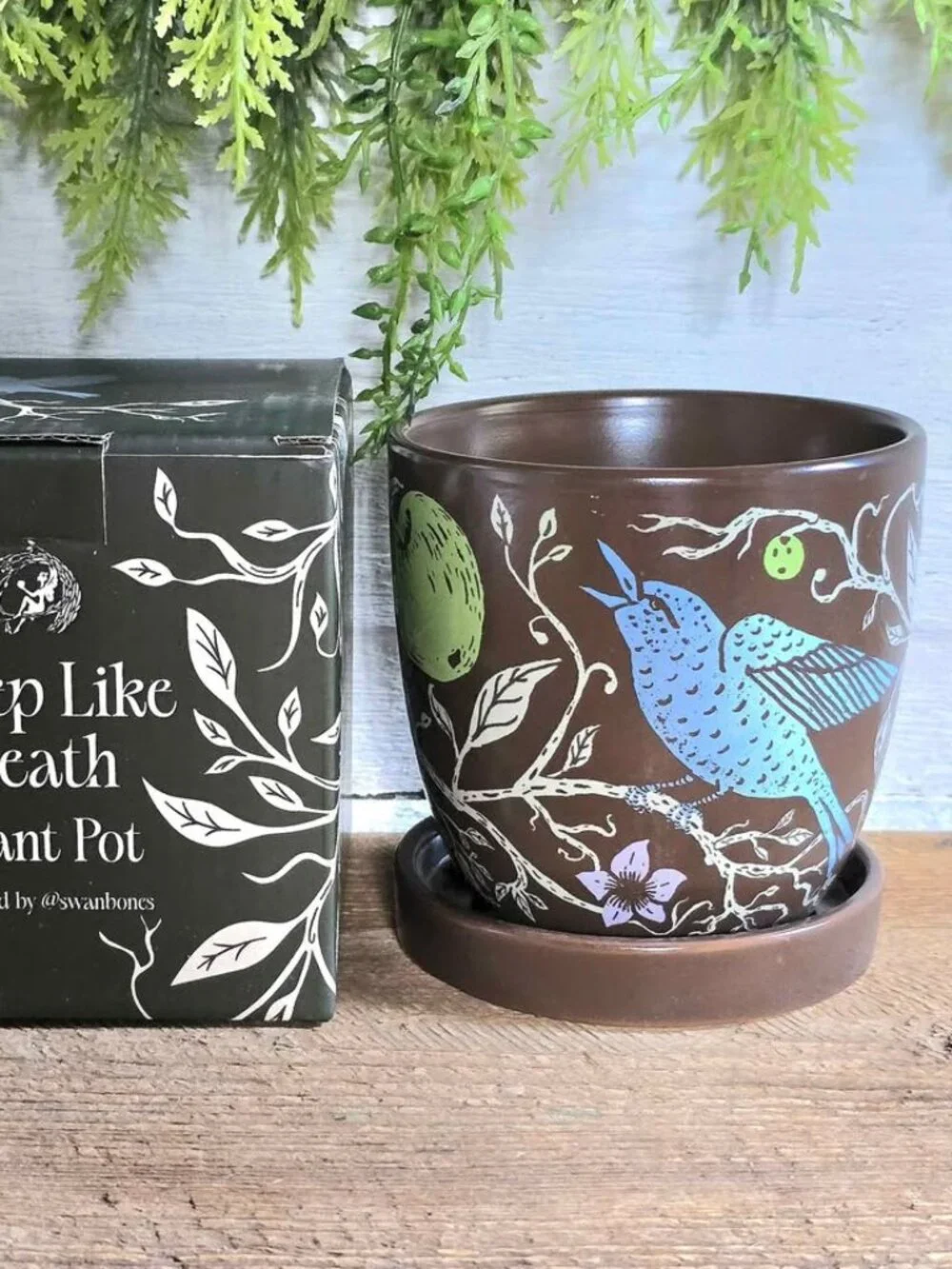 Fairyloot Sleep Like death by Kalynn Bayron Plant Pot with Birds Apples Book Box